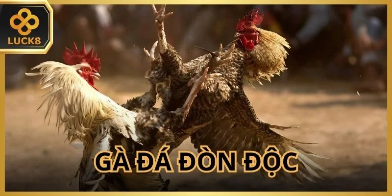 ga-da-don-doc